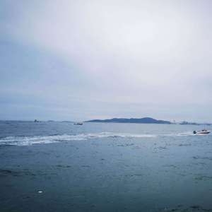 深海嬉戏的霓虹鲸