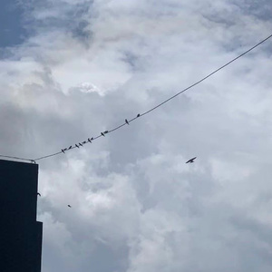 (1元可商用)sasi听了直接用的吉他旋律伴奏