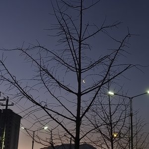 《雨落》