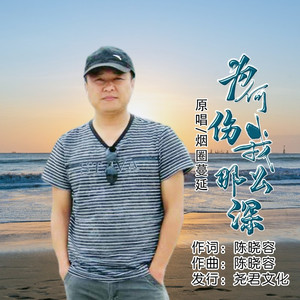 为何伤我那么深 (DJ版)