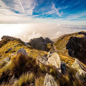 온전한 숙면 (자장가)