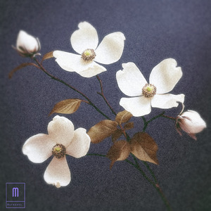 ハナミズキ (feat. 一青窈) [Cover]