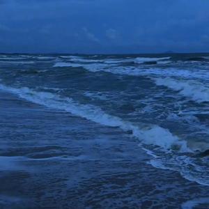 只有你能听见我的心