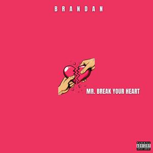 Mr Break Your Heart
