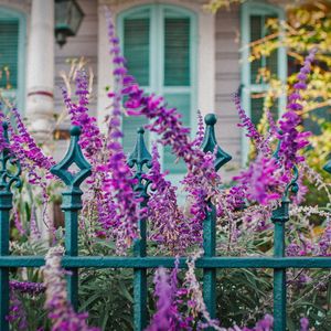 钢琴白噪音里的入眠序曲