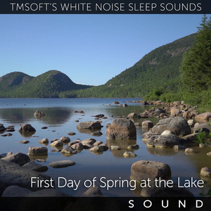 First Day of Spring at the Lake