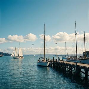 Sausolito (feat. Ryan Li)