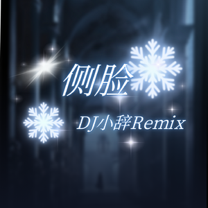 侧脸DJ降调（DJ小辞Remix）