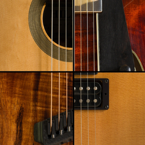Dynamique