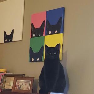 hello kitty (feat. shy!!!)