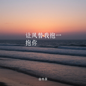 让风替我抱一抱你