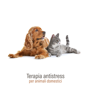 buon cagnolino