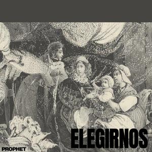 ELEGIRNOS