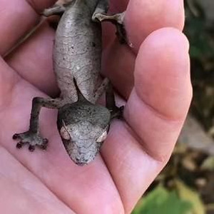 That's What's Happenin' (sped up)