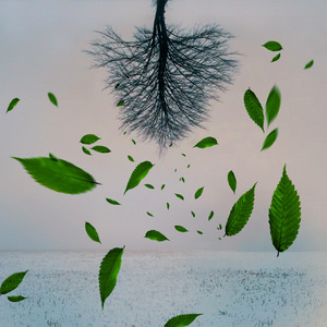 Ни щита, ни меча