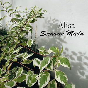 Secawan Madu