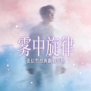 张信哲-太想爱你R&B（文轩 remix）