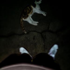 【FREE】HUMBLE. TYPE BEAT