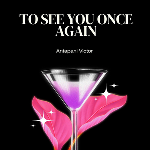 To See You Once Again