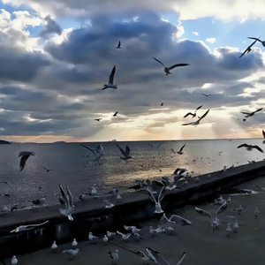 爱一点（男声版）