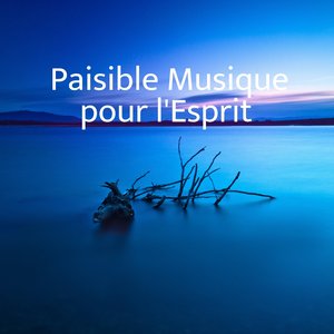 Musique Extrêmement Calme