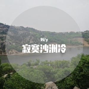 寂寞沙洲冷(片段）