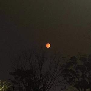 我拥抱的是一路装作勇敢的你（翻自 黄建为）