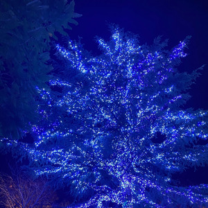 パイルドライバー