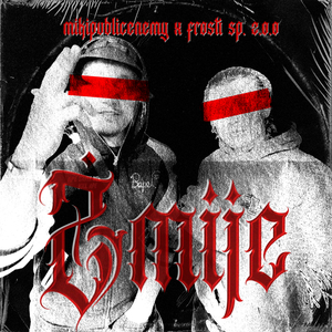 Żmije