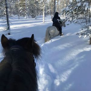 Forever Yours （欧叔 remix）