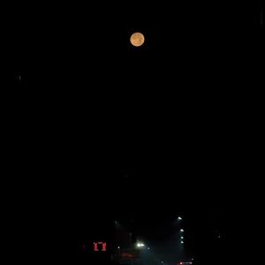 爱不自由所以我们不爱了