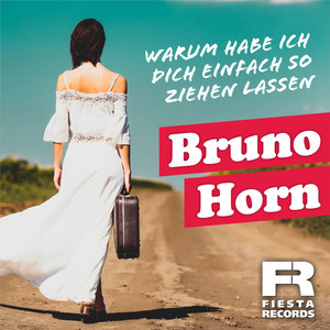 Warum habe ich dich einfach so ziehen lassen