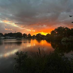 Love Yourself! (Reloaded) (feat. Timontae & 105babyy)