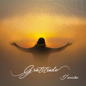 Love Finds the Way Through (feat. Carl Davies & Prabodh Senger)