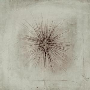 Παρανυχίδες και Μεγάλα Πάθη