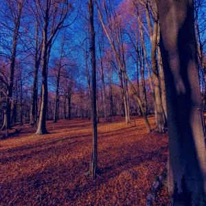 Genesis (Instrumental) (Instrumental)