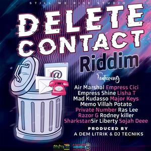 Delete Contact Riddim, Version, A Dem Litrik & Dj Tecniks