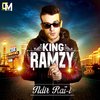 King Ramzy - Ndir Raï-i