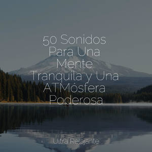 Vivir en el Presente