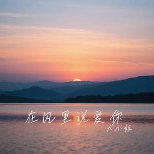 在风里说爱你 (Cover 赵乃吉)