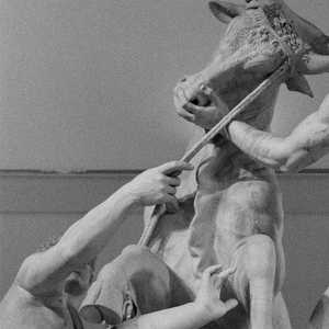 Facing The Horses Tail