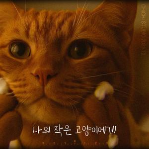 나의 작은 고양이에게