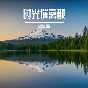 孤行渡人间