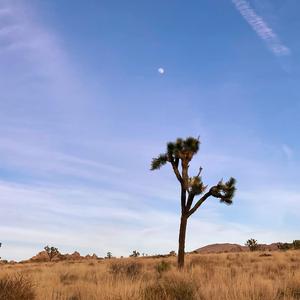 Feels Like We Only Go Backwards