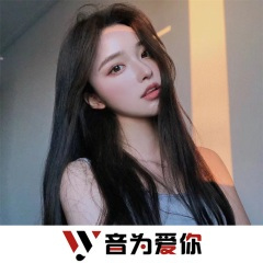 车载慢摇旋律 (DJ版)