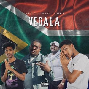 VEDALA (feat. 21promo Pengii & Bibo)