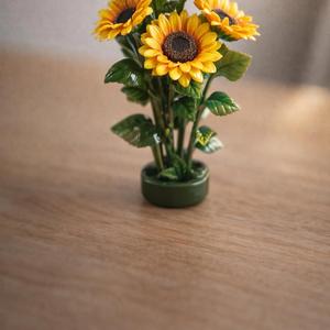 Lost Sock Under the Bed