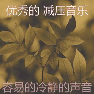 安静的平静的声音