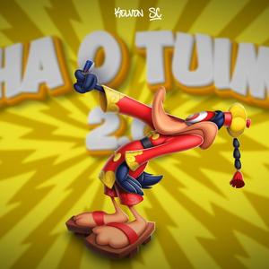 MEGA FUNK OLHA O TUIMM 2.0