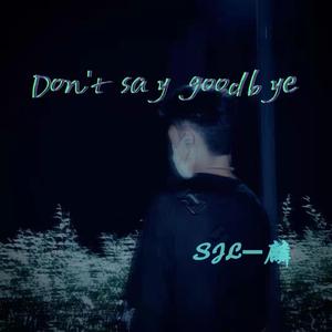 Don't Say Goodbye（prod by weloveziho）